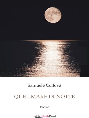cover image of Quel mare di notte